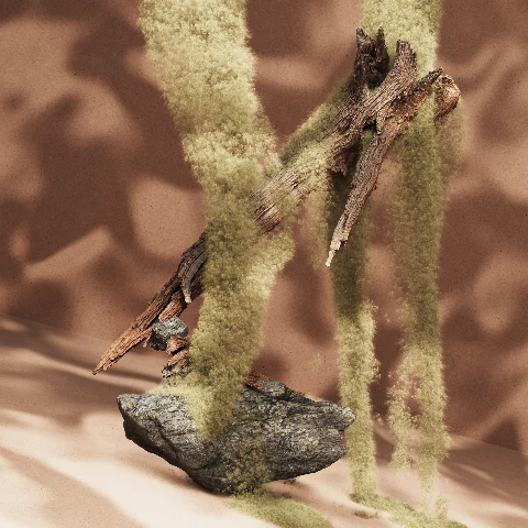Rock and trailing vegetation in a warm-lit scene