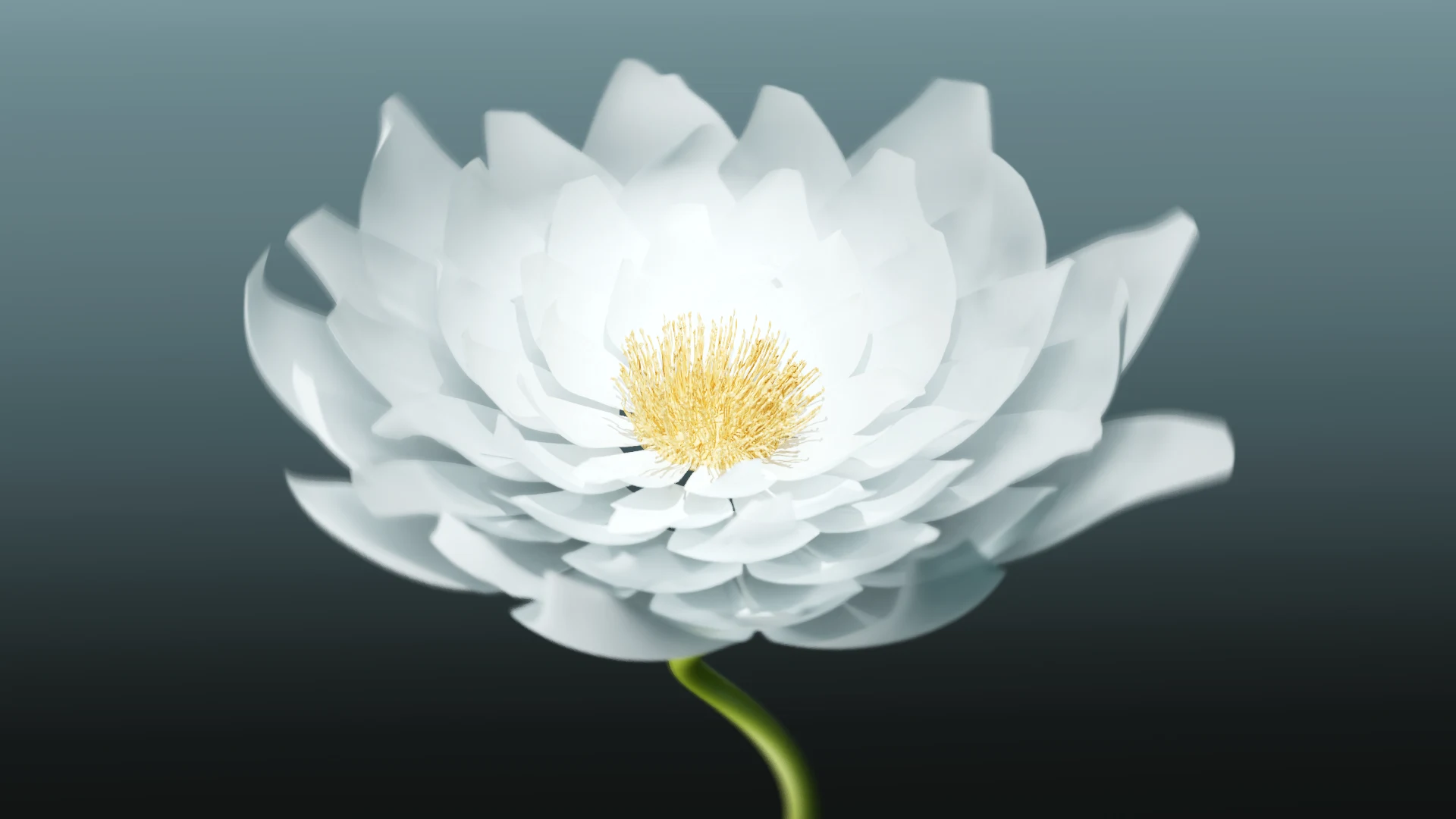 Dr. Barbara Sturm — Serum, motion and 3D portfolio